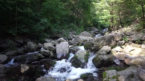 Landscape with a stream flowing through the valley of Duta Mountain Stock Footage 309638695