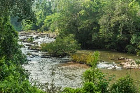 Landscape of streams and forests Stock Photos