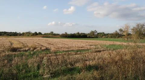 Landscape with stubble of wheat field and sky Stock Photos