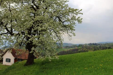 Landscape of styria austria Stock Photos
