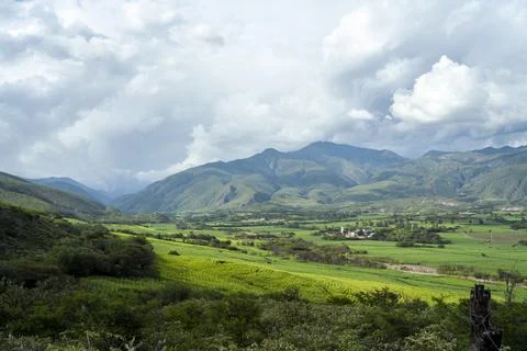 Landscape of sugar cane plantations green mountains in loja, ecuador Stock Photos