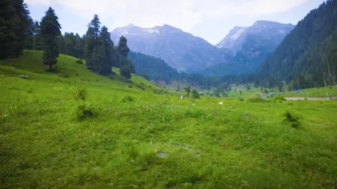 Landscape in summer alpine meadow in the mountains, Landscape nature background Video stock 280951996