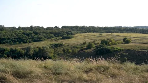 Landscape of a summer field, handheld panoramic of a hills Stock Footage 114600779