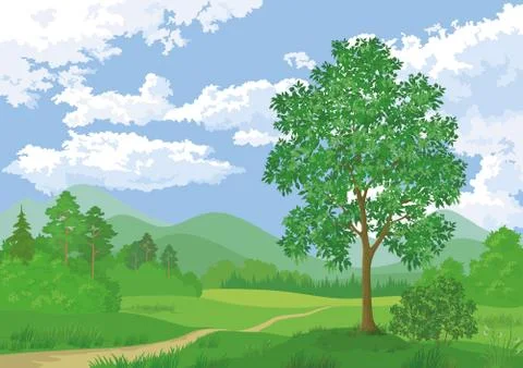 Landscape, summer forest and maple tree Stock Illustration