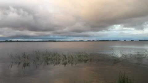 A landscape of a summer lake on a cloudy day Stock-Footage 299747604
