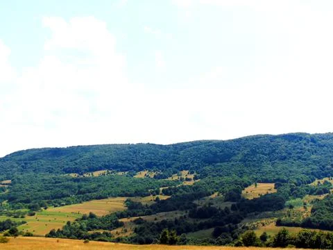 Landscape in the summer in Maramures Stock-Fotos