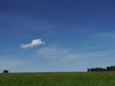 Landscape summer Stock Photos