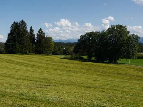 Landscape summer Foto stock