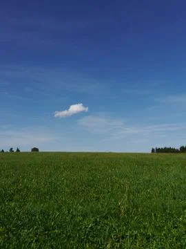 Landscape summer Stock Photos