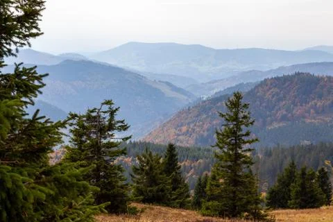 Landscape on the summit of the Feldberg Stock Photos