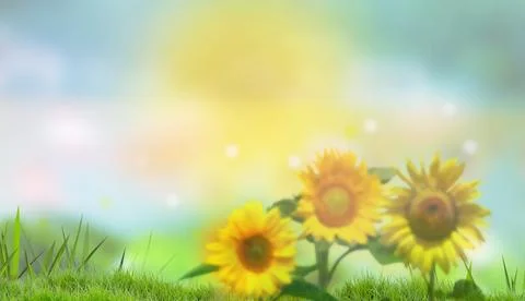 Landscape with sunflowers イラスト素材