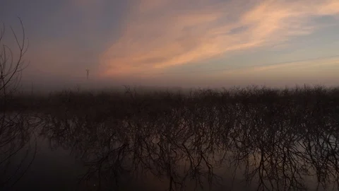 Landscape at sunrise by the river Stock Footage 98038577