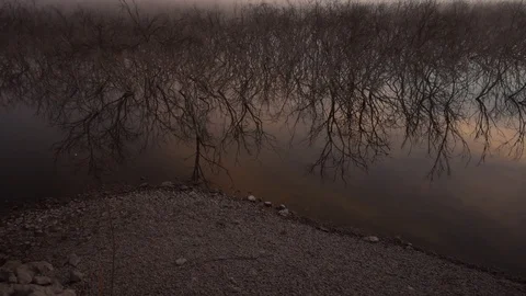 Landscape at sunrise by the river Stock Footage 98038884