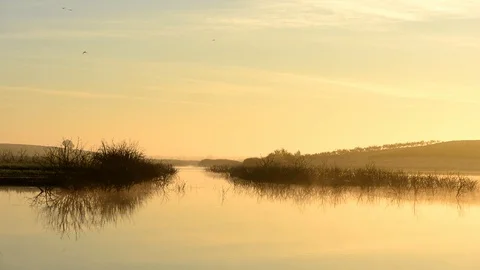 Landscape at sunrise by the river Stock-Footage 98231034