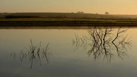 Landscape at sunrise by the river Stock Footage 98231289