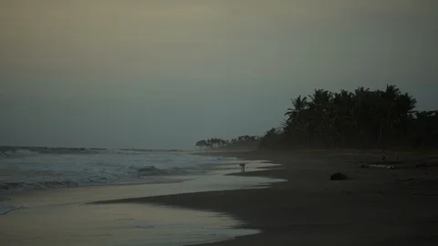 Landscape of the sunset on the beach. Stock Footage 108482917