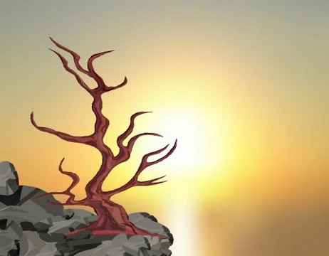 Landscape on the sunset. A curved tree without leaves on a rock among the sto Stock Illustration