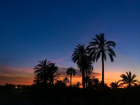 Landscape of a sunset in Elche Stock Photos