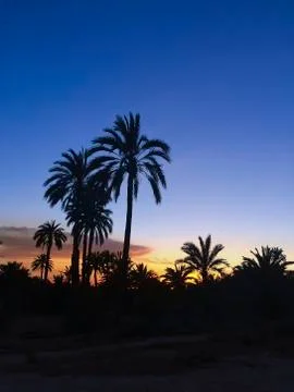 Landscape of a sunset in Elche Stock Photos