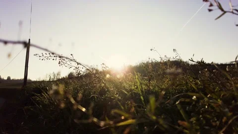 Landscape at sunset Stock Footage 233532756