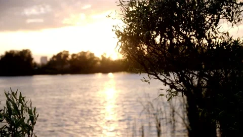 Landscape with sunset on lake. Stock Footage 165058054