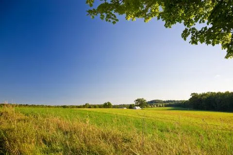 Landscape in a sunset light Stock Photos