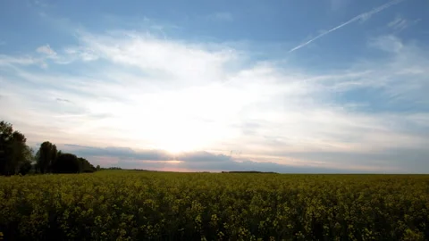 Landscape sunset over big field Stock Footage 100662912