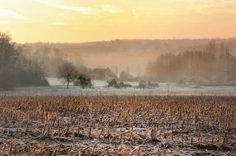 Landscape at sunset Stock Photos
