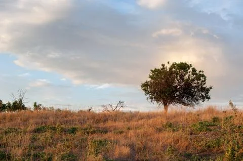 Landscape at sunset Stock Photos
