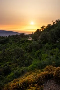 Landscape sunset Stock Photos