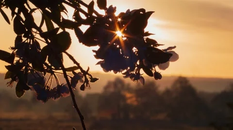 Landscape Sunset timelapse Stock Footage 50746146