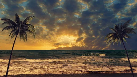 Landscape sunset in the tropics with two palm trees Video stock 145986707