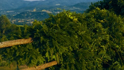 Landscape sunset in Tuscany Stock Footage 103212947