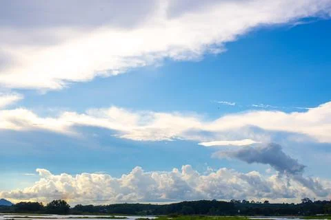 Landscape of swamp , Background of white Clouds In Blue Sky Stock Photos