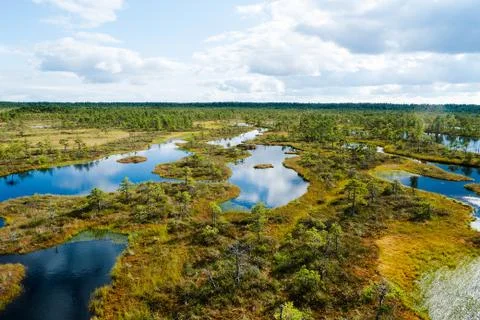 Landscape of a swamp in Estonia Stock Photos