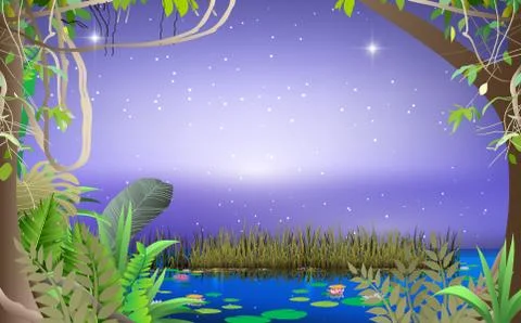 Landscape of swamp in the  night Stock Illustration