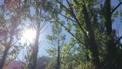 Landscape through a car window Stock Footage 311563997