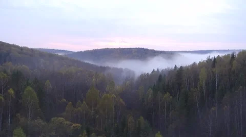 Landscape through the train window Stock Footage 56269328