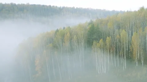 Landscape through the train window Stock Footage 63042887