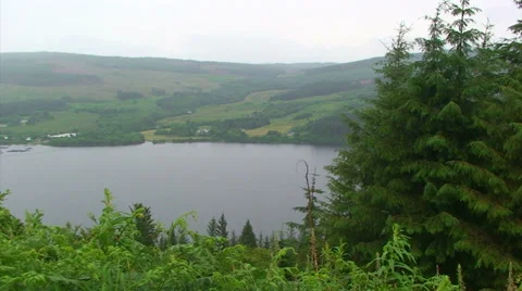 Landscape thru spruce tree forest clearing over loch Stock Footage 39636170