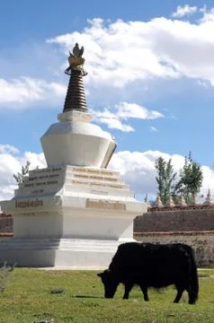 Landscape in tibet Foto stock