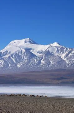 Landscape in tibet Foto stock