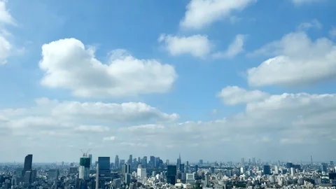 Landscape of Tokyo city Stock Footage 80509739