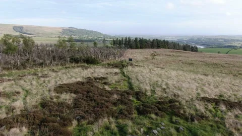 Landscape to tomb 動画素材 242035691