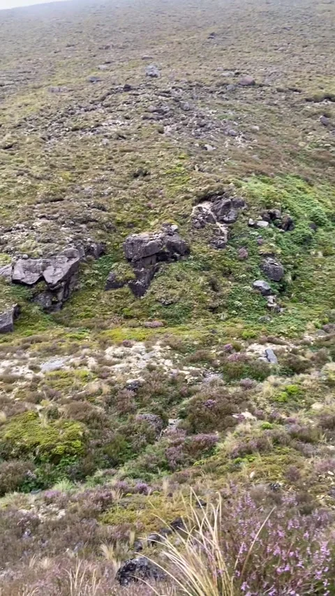 Landscape in Tongariro Vídeo Stock 344173315