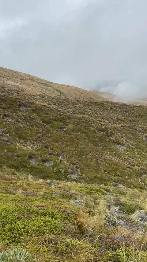 Landscape in Tongariro Vidéo 344173507