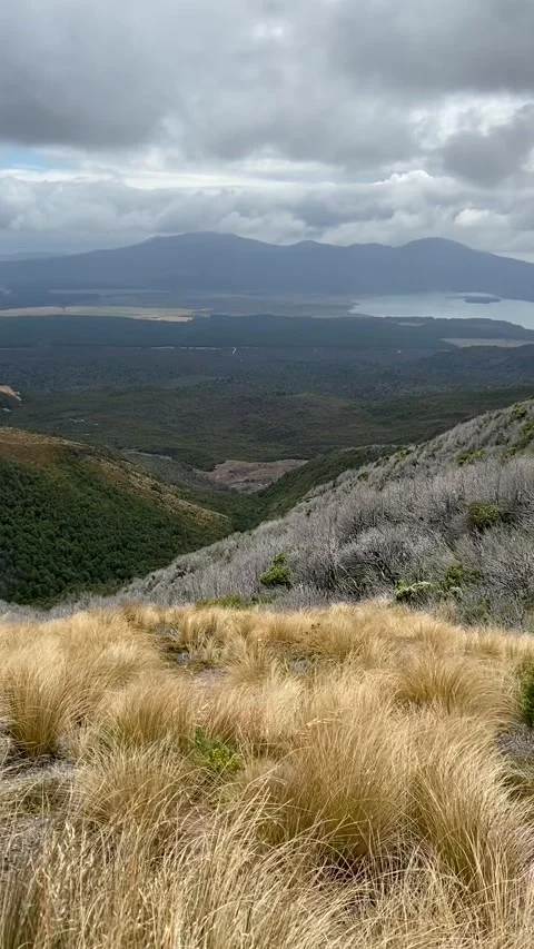 Landscape in Tongariro Vídeos de archivo 344173567