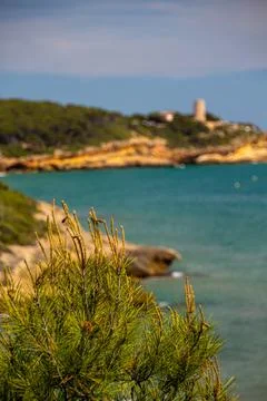 Landscape with a tower blurred at the background. Stock Photos