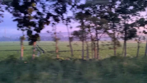 Landscape from Train Stock Footage 233781497