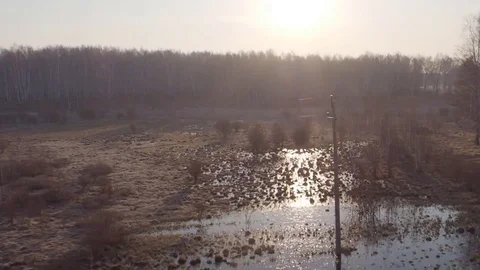 Landscape from the train window at dawn Stock Footage 74861671